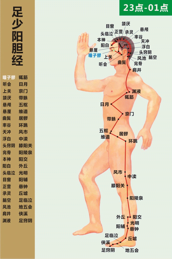 把复杂的问题简单化，教你快速记住人体12条经络！