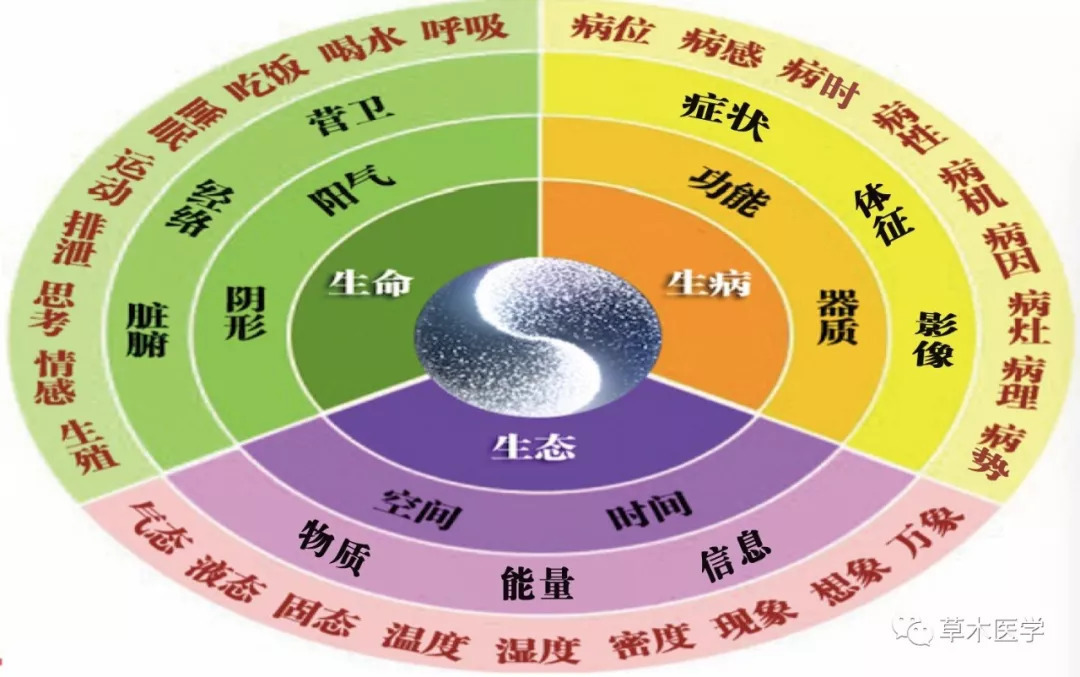 什么是草木医学？有什么不同？主治那些疾病？