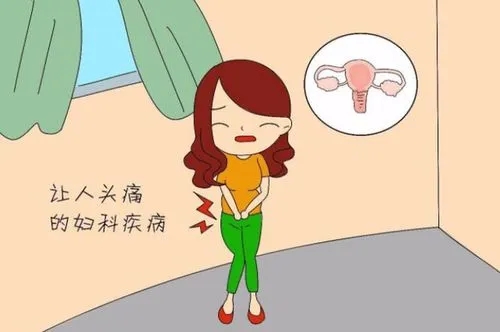 草木医学 不孕不育 输卵管不通 腺肌症 子宫内膜异位 精子成活率0