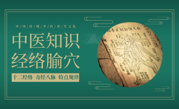 经络与腧穴【中医基础知识】