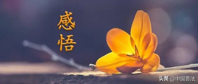草木家人分享学习《草木医学》感悟
