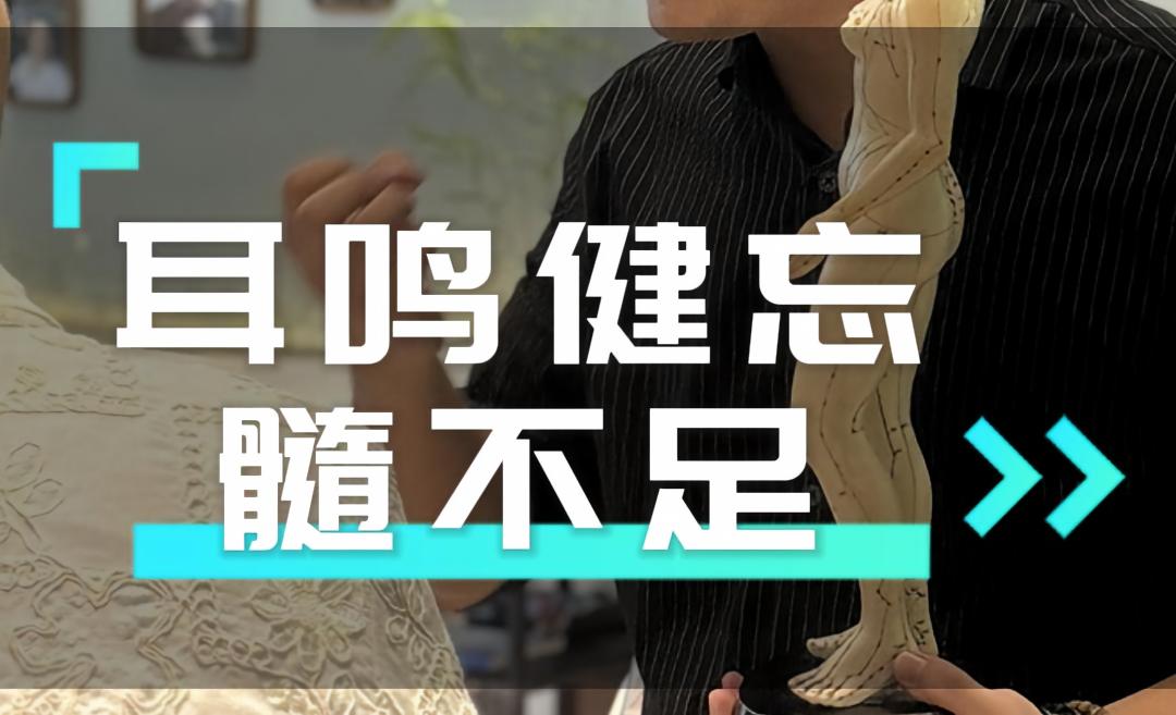 耳鸣健忘 髓不足